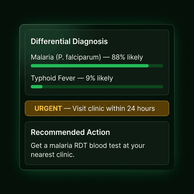 Clear Results Your Team Can Act On Immediately